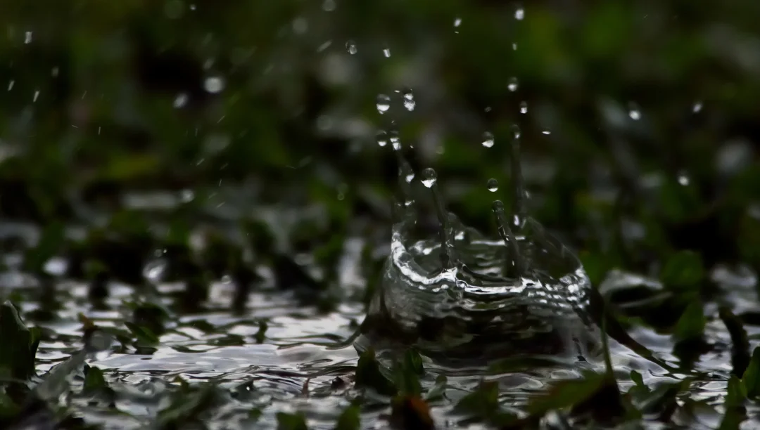 Rain won’t smell like rain—it’s geosmin: the scent that signals water