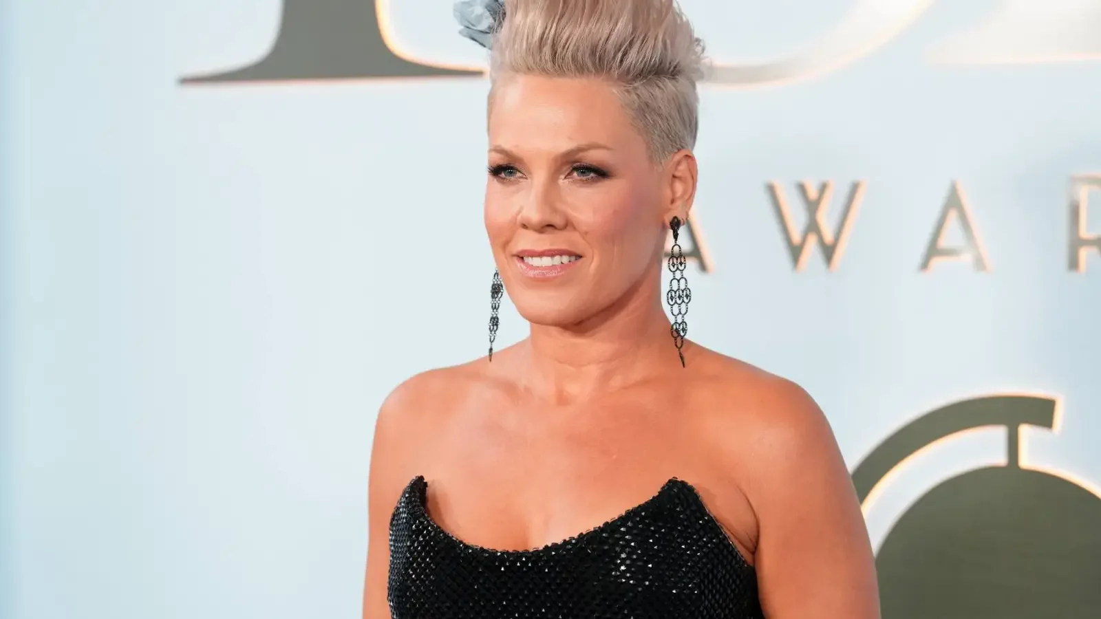 Pink Breaks Silence on Backlash Over Macklemore Palestine Moment