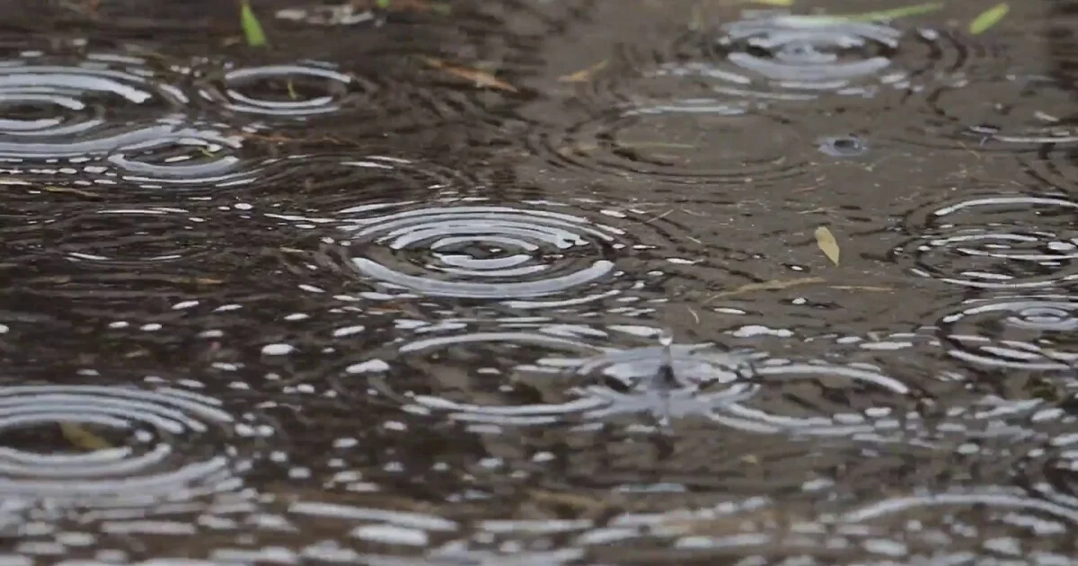 Mixed Weather Ahead: Rain Chances and Mild Temperatures