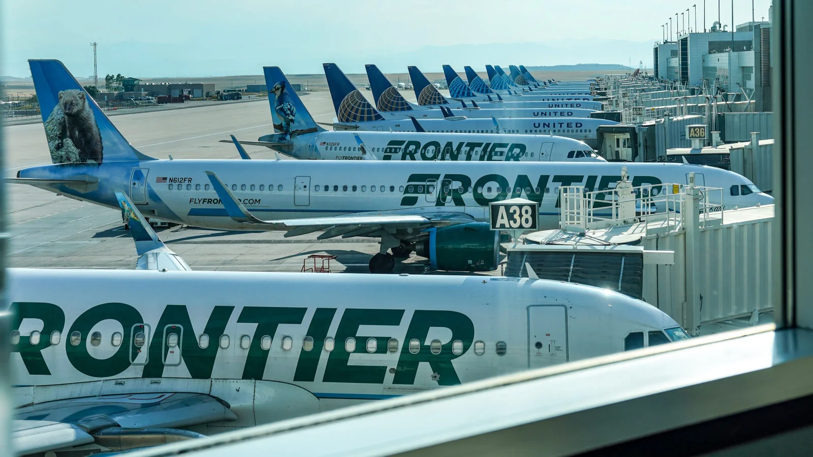 Frontier to roll out Starlink Wi‑Fi with gate‑to‑gate connectivity