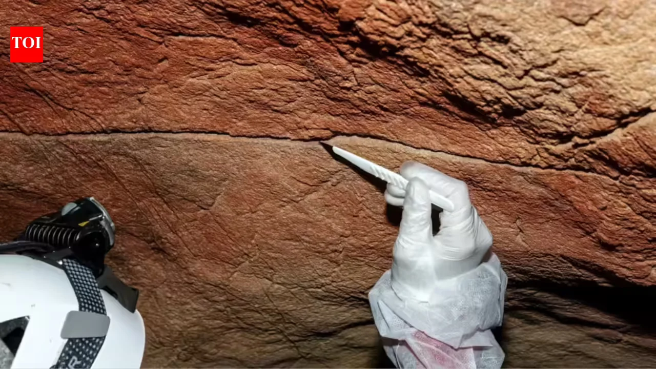 DNA on the Walls: Ancient Human Clues Found in Prehistoric Rock Art