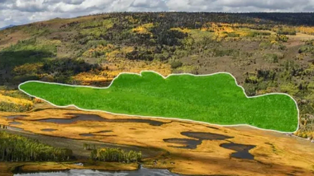 The Trembling Giant Speaks: Sounds from Pando, the World’s Largest Living Organism