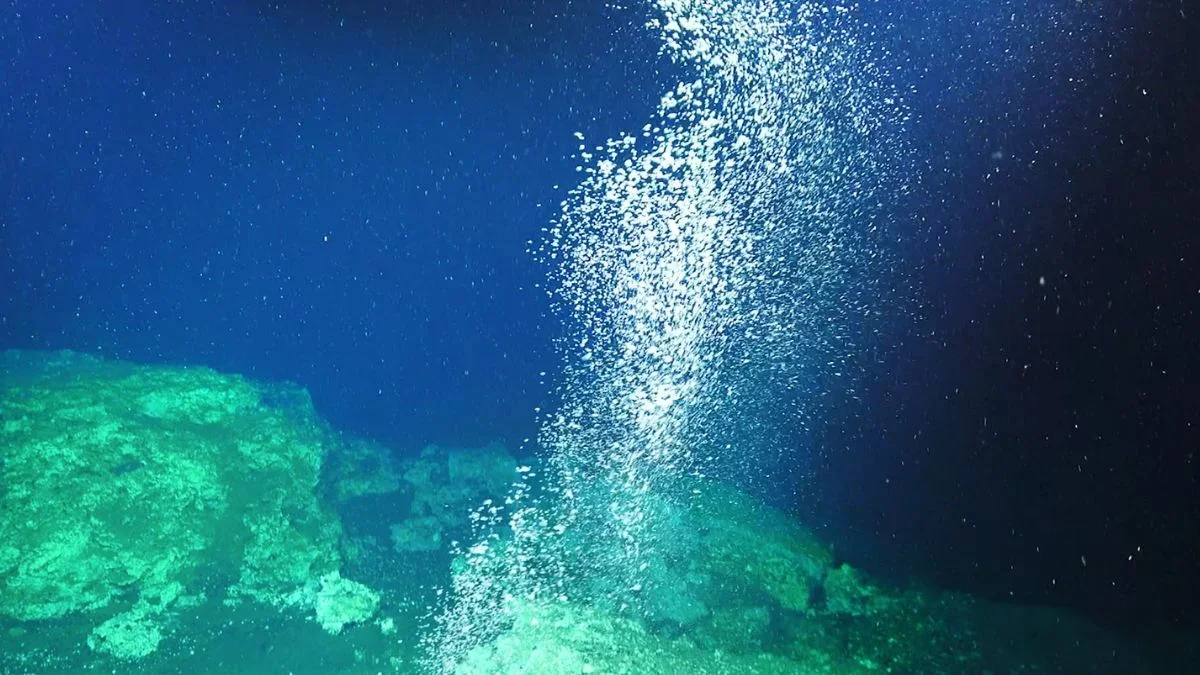 Accidental methane leak in South China Sea spurs rapid deep-sea methane-eating ecosystem