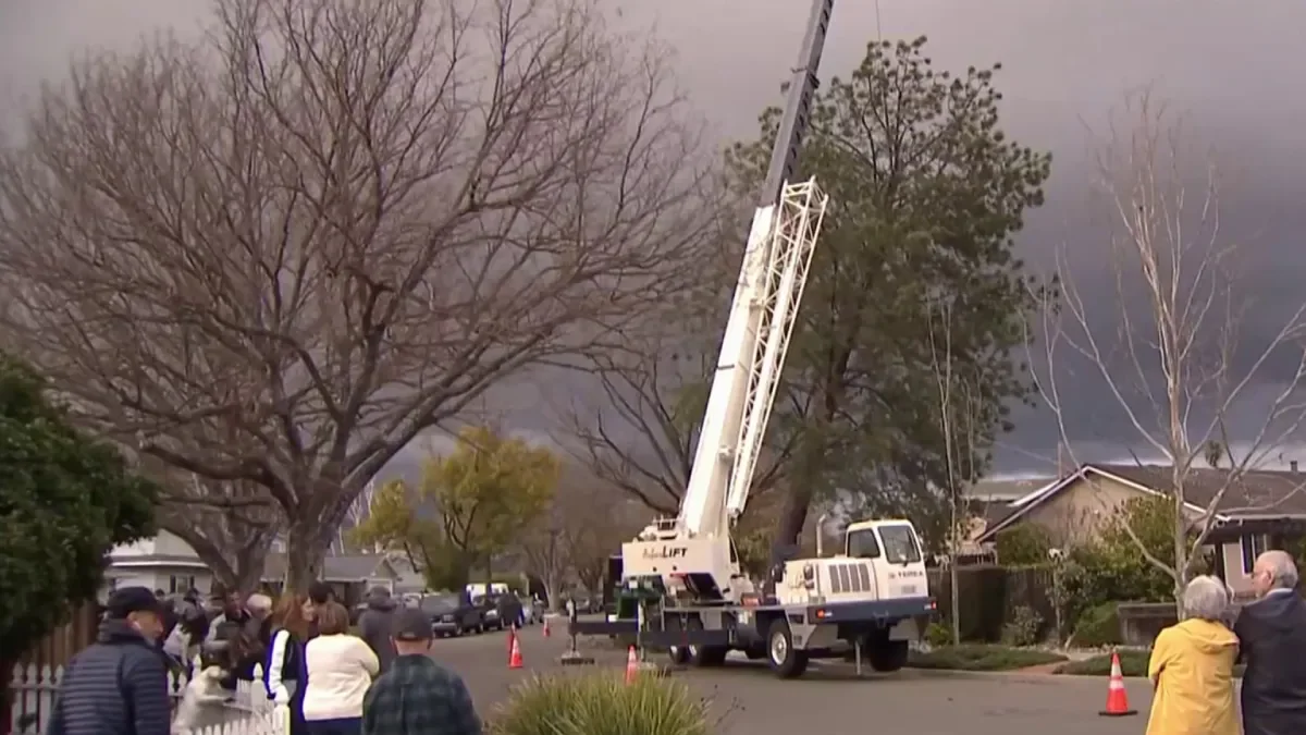 California Storms Cause Chaos and Destruction with Falling Trees.