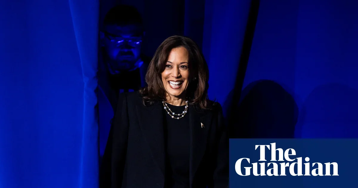 Democrats Release Belated 2024 Election Autopsy Amid Internal Backlash