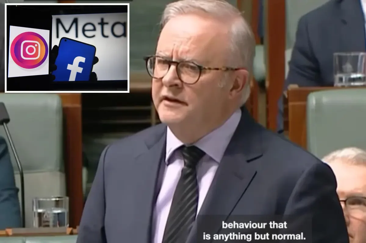 Albanese's blunt warning on online extremism goes viral in Parliament