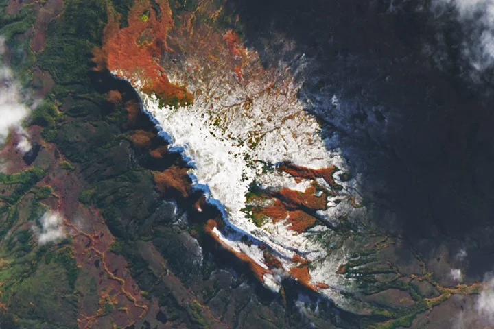 Autumn Fire in Patagonia's Beech Forests