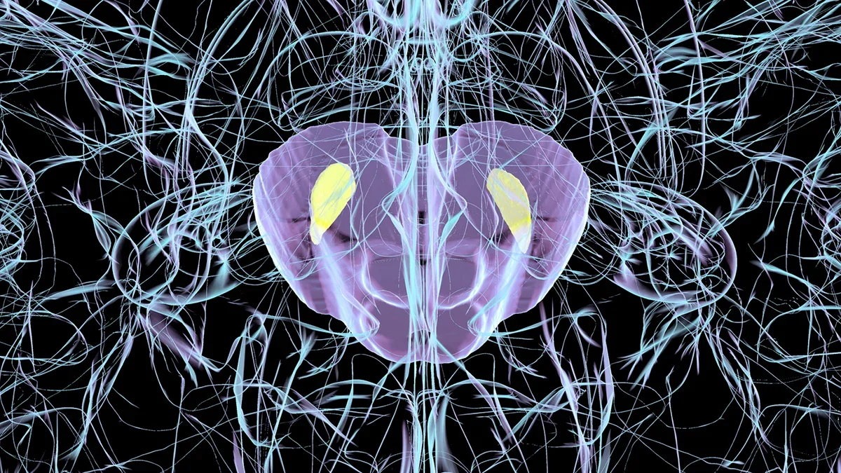 Virus Exposure Triggers Parkinson's-Like Brain Damage in Mice, Study Finds