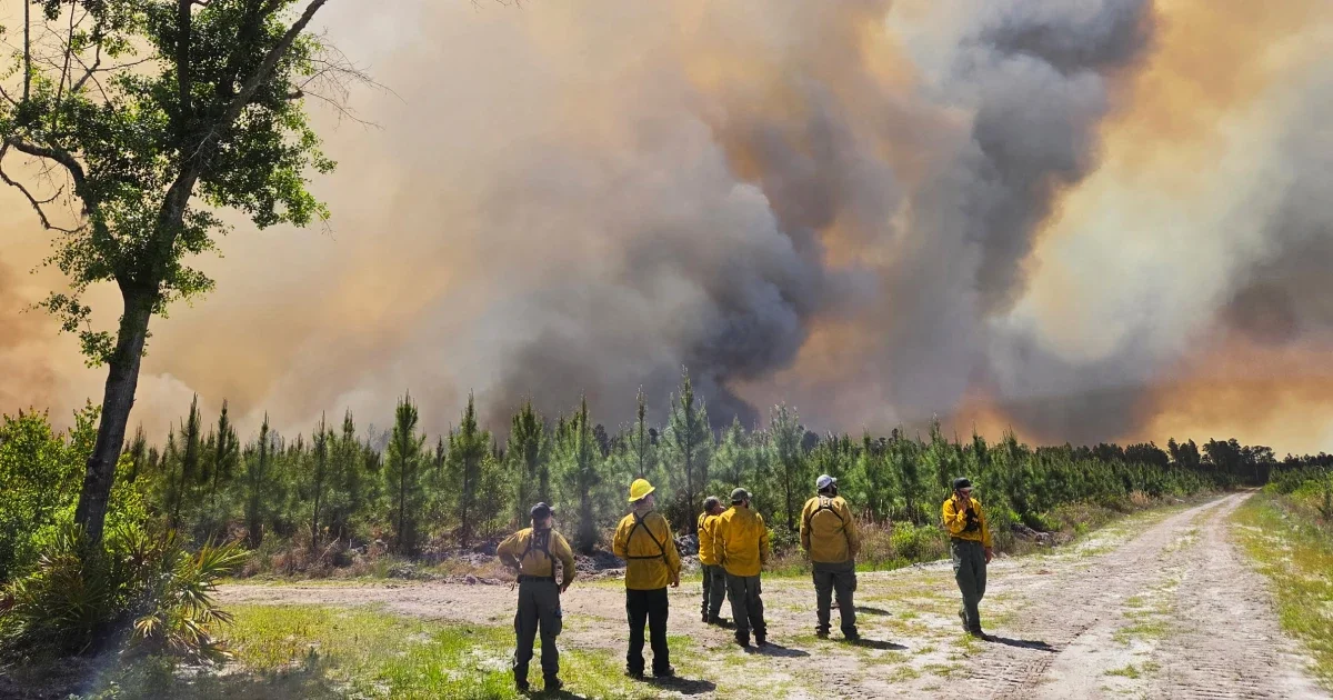 Drought-fueled Southeast Wildfires Torch Homes in Georgia and Florida