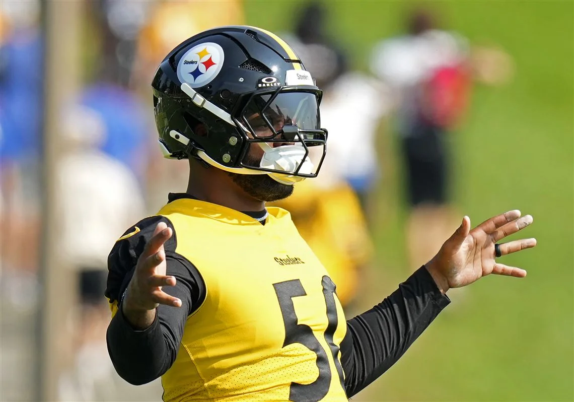 Steelers Waive Roberts and Harrison Ahead of 53-Man Roster Deadline