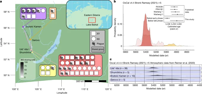 Ancient Baikal Plague Outbreaks Push Origins of Yersinia pestis Back to Mid-Holocene