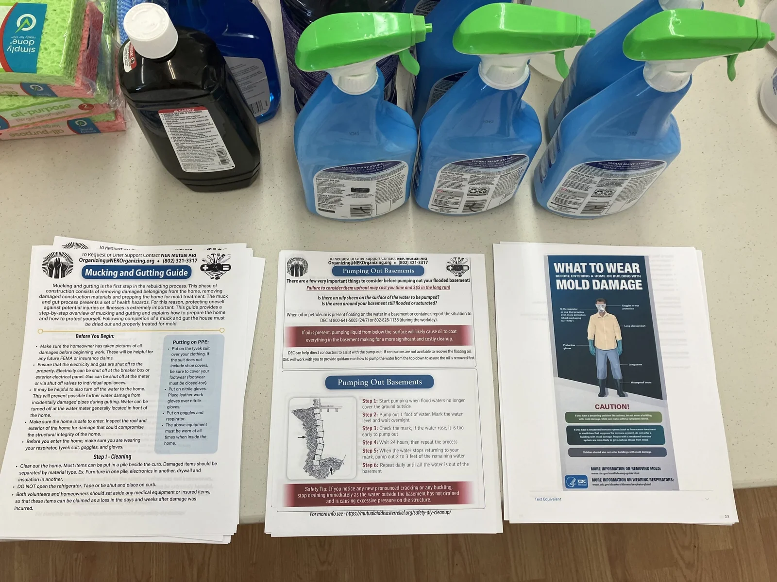 Combatting Mold in Flooded Buildings: A Health Care Perspective