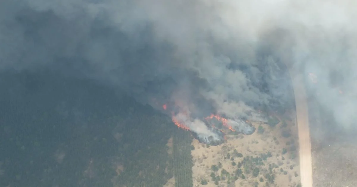 Grayling Wildfire Forces Evacuations and I-75 Closure.