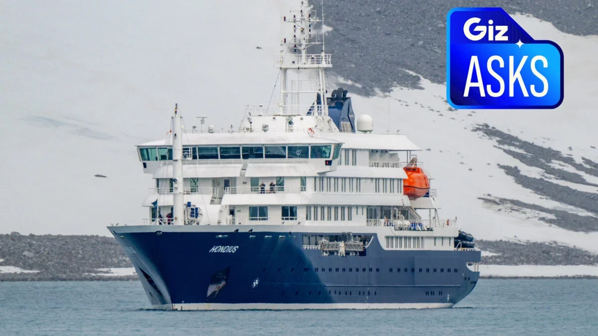 Pandemic Ready? Lessons From a Hantavirus Cruise Outbreak