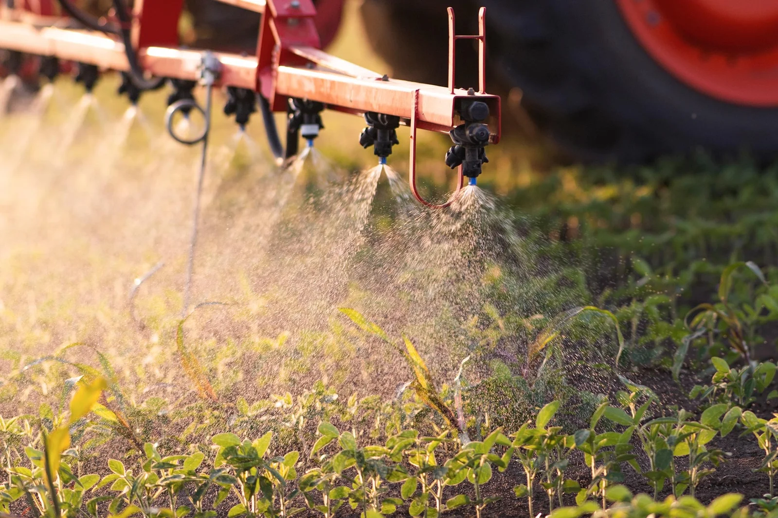 Nationwide Peru Study Links Pesticide Mix to 150% Jump in Cancer Risk