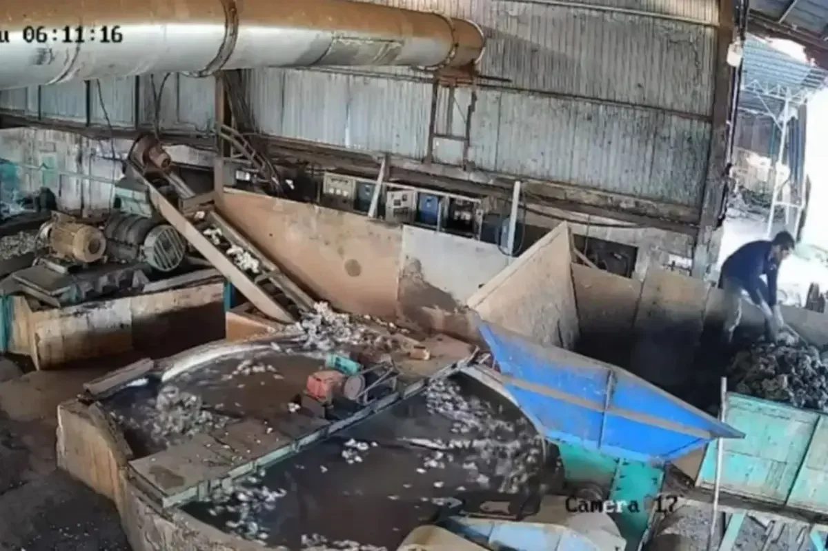 Vietnamese Factory Worker Killed After Being Pulled Into Giant Shredder, Video Captures Moment