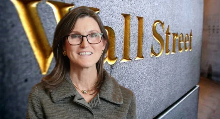 Cathie Wood Bets on Palantir Over AMD in AI Stock Shift