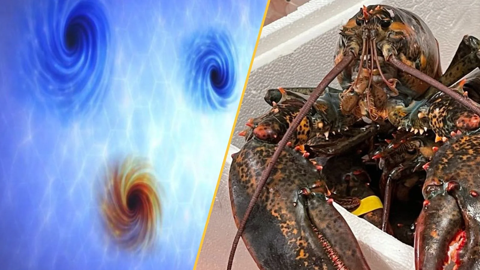 Faster-than-light darkness, evolving humans, and fatter polar bears headline this week in science