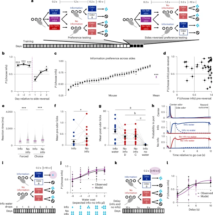 Mice Seek Knowledge: Orbitofrontal Cortex Encodes Intrinsic Information Value