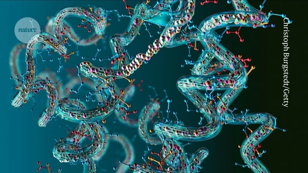 Dark proteins rebranded as peptideins to map hidden biology