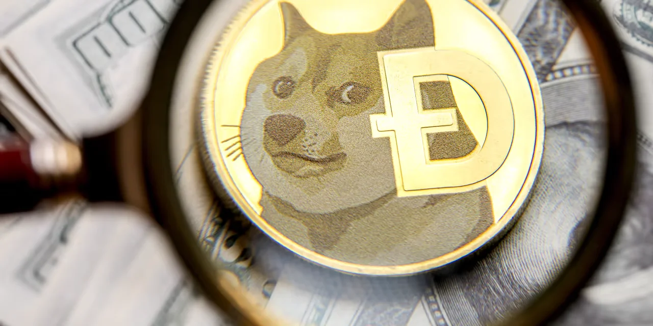 Elon Musk's Influence Continues to Drive Dogecoin's Volatility