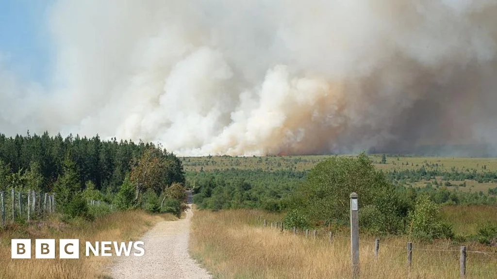 Belgian High Fens engulfed as major wildfire challenges crews