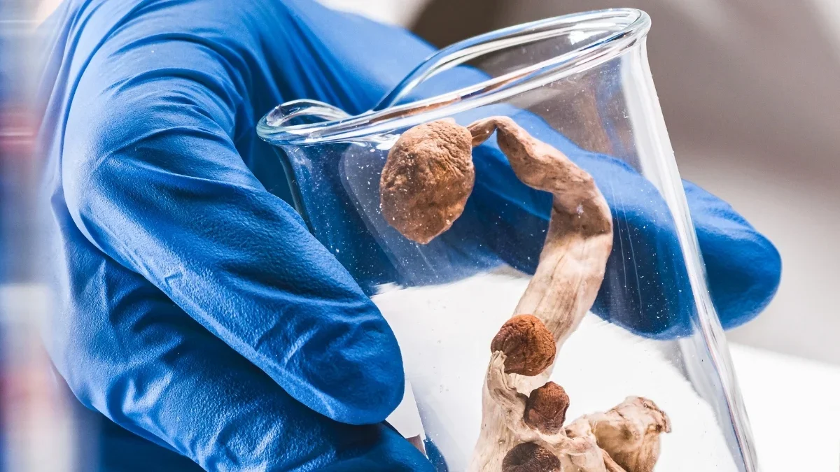 Psychedelic Case Hints at Hidden Abilities in Alzheimer's Brain
