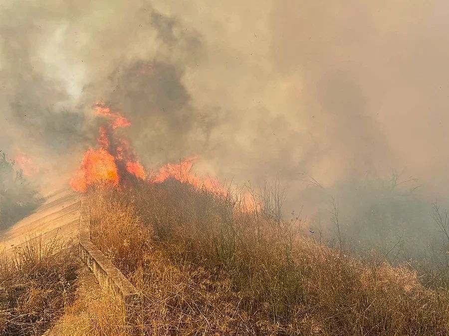 Greece Mobilizes Sea Evacuations as 73 Wildfires Spread Across the Nation