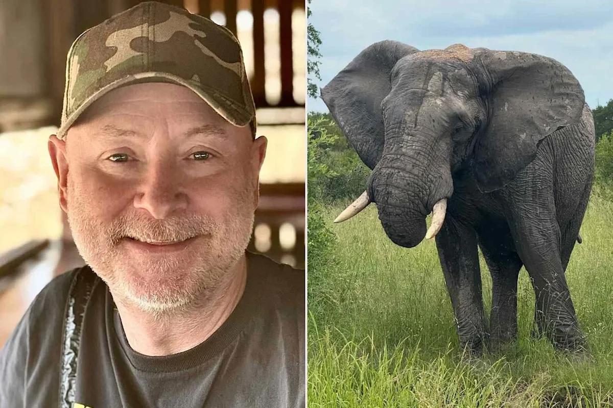 South Africa Walking-Safari Guide Killed by Charging Elephant