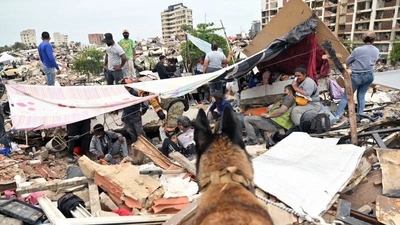Global canine corps join Venezuela quake rescue, saving lives and honoring heroes