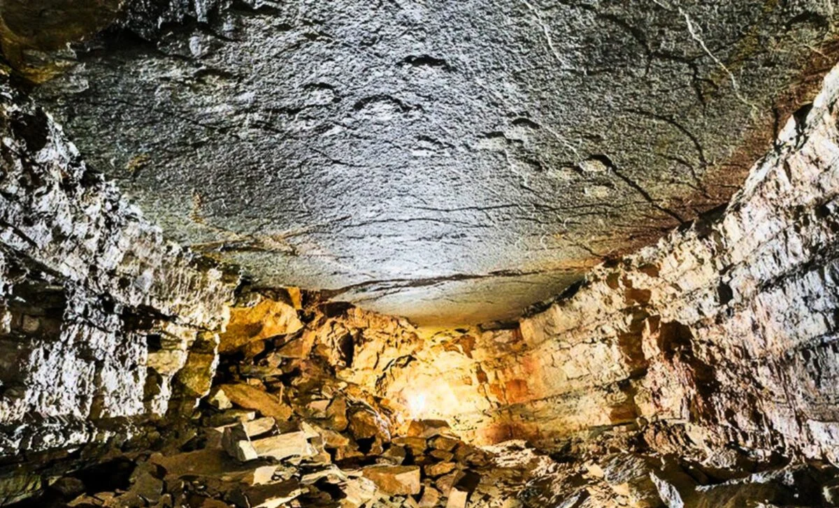 Gigantic Jurassic Sauropod Tracks Stamped into a French Cave Ceiling