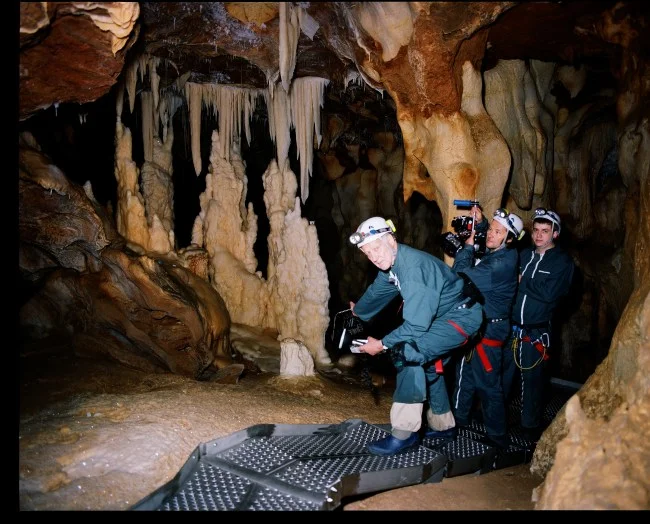 Herzog’s 6K IMAX Return to the Cave of Forgotten Dreams