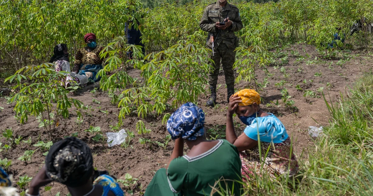 Congo Ebola Outbreak Escalates as Clinic Burnings Spark Fear