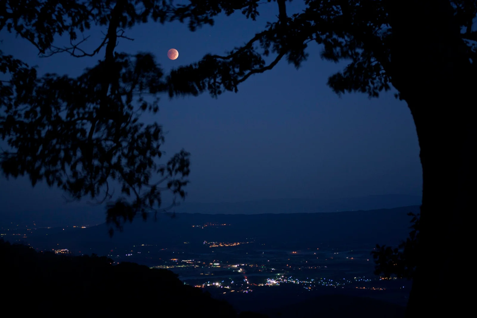 August Skywatch: Partial Eclipses, Milky Way Glow, and Perseids in the DC Area