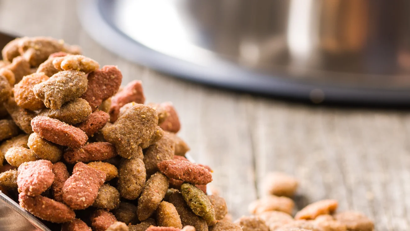 Northwest Naturals recalls dog and cat foods over Salmonella and Listeria risks