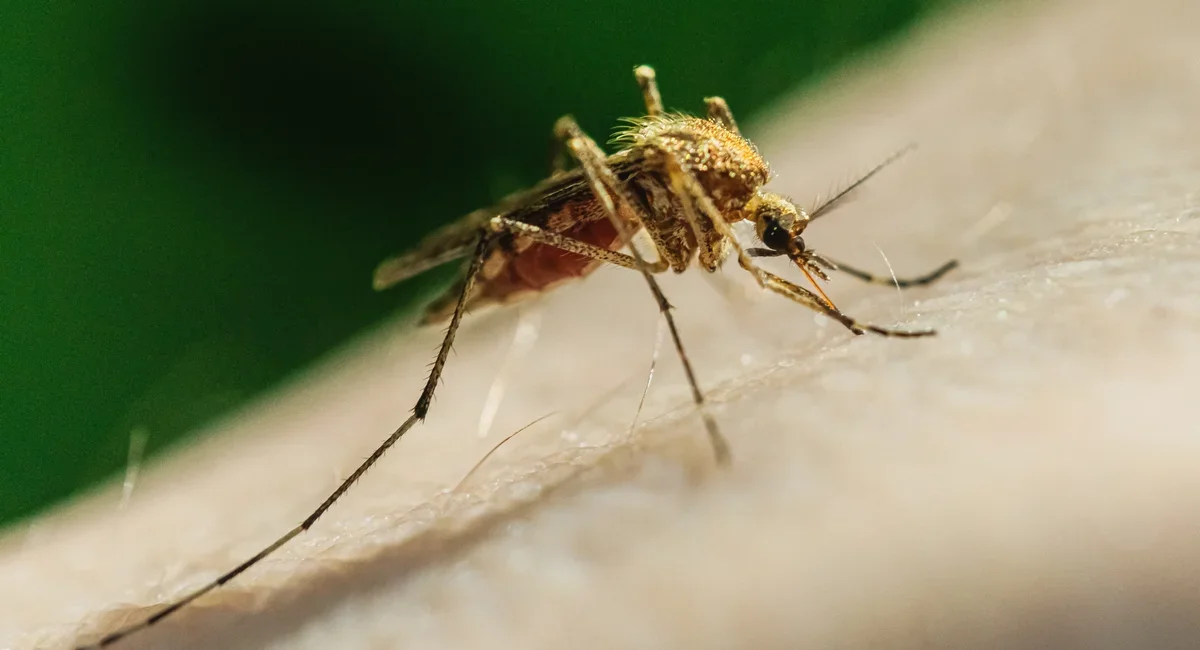 New Jersey reports first Zika case in six years, travel-related