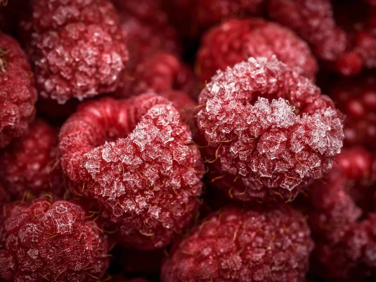 The nutrition showdown: fresh, frozen, or canned vegetables on your plate