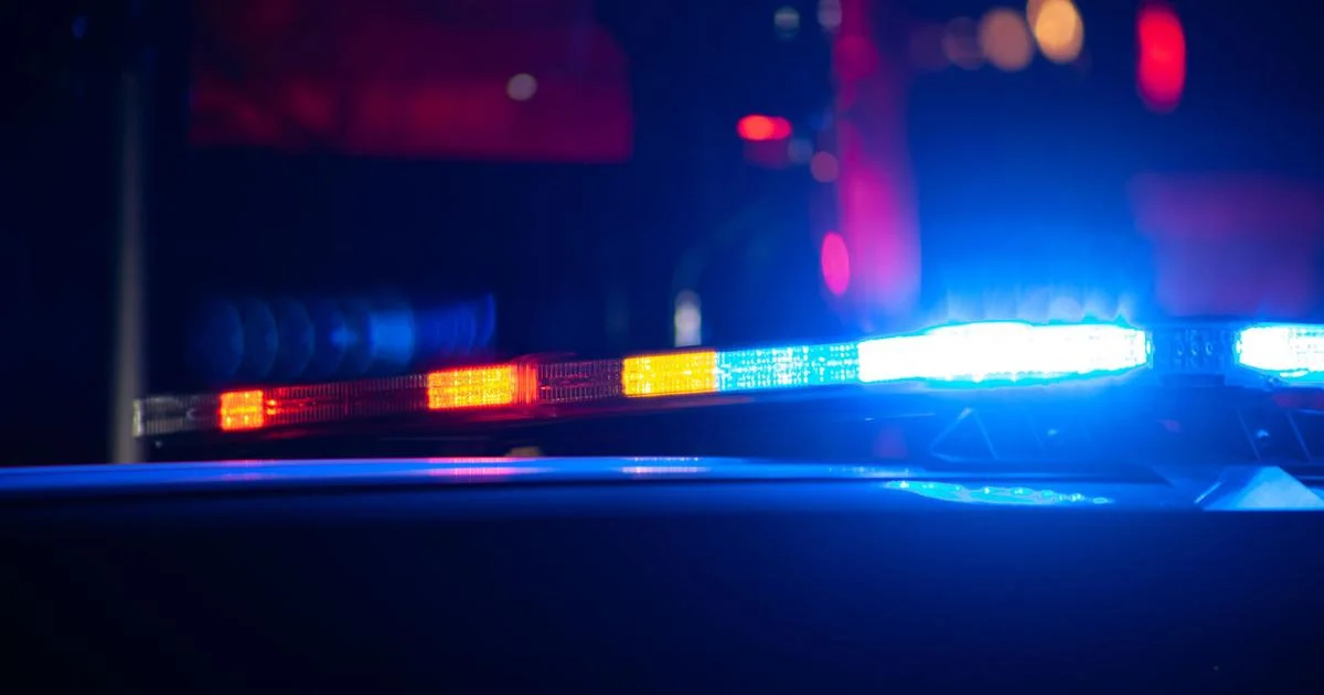 Fatal Shooting in Downtown Madison Leaves One Dead and Police Searching for Motive and Suspect.