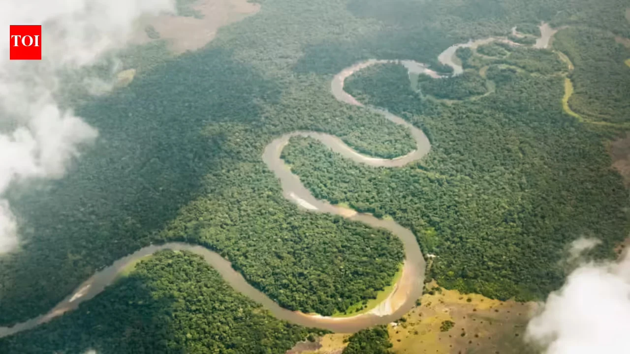 Congo River Freshwater Takes a Bursty Atlantic Voyage via Giant Ocean Eddies