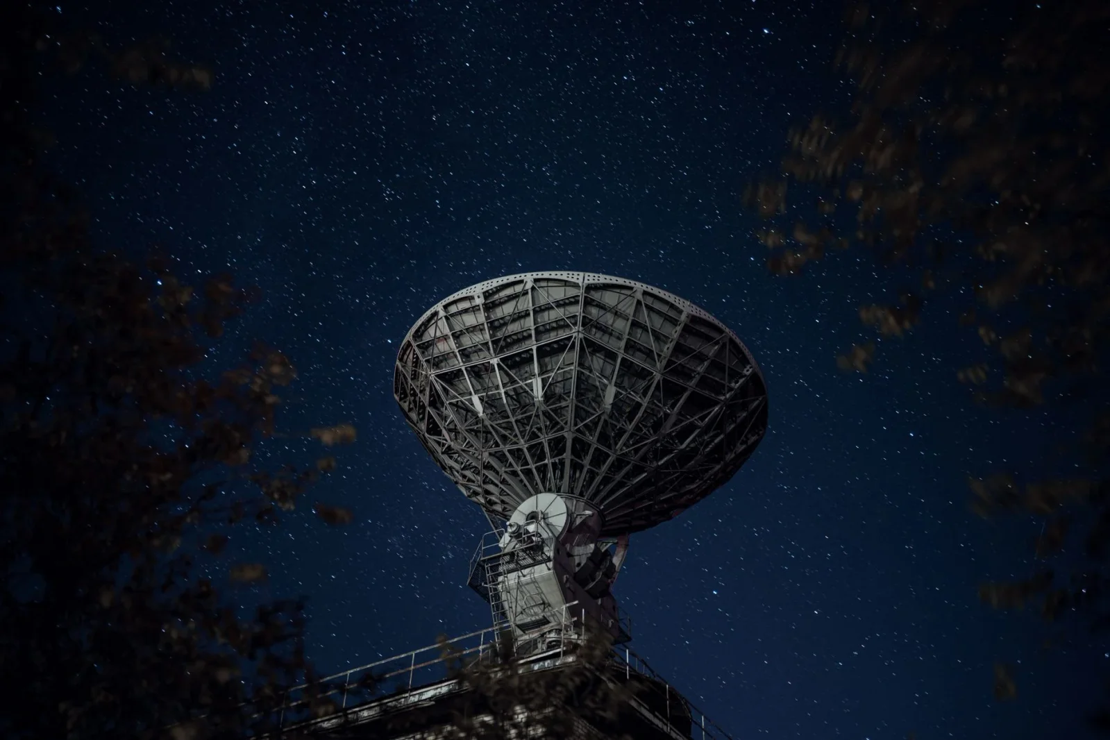 Milky Way Radio Enigma Sparks Talk of a New Class of Objects