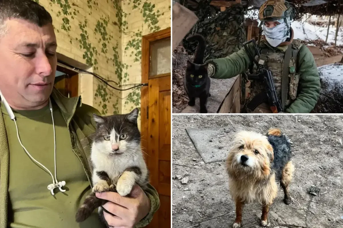 Drone Evacuation Saves Ukraine Front-Line Cat and Dog