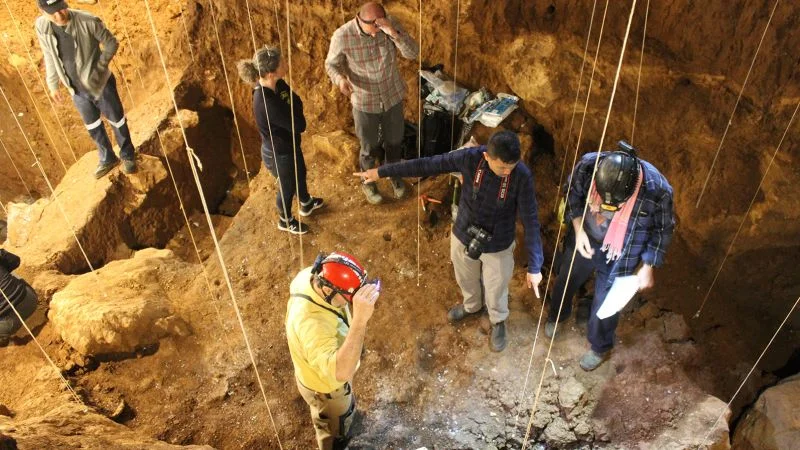 New Fossil Discovery Pushes Back Early Human Migration to Asia
