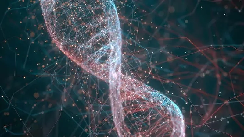 Allele-Specific Antisense Therapy Reduces Seizures in SCN2A-Linked Epilepsy
