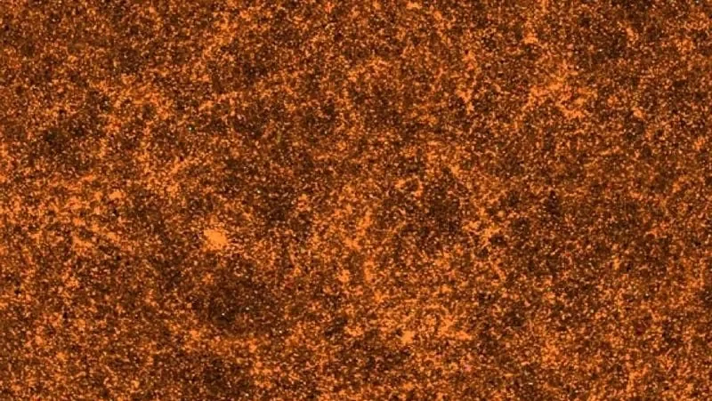 Cosmic Isotropy Remains Intact as DESI Anomaly Fades with Proper Corrections