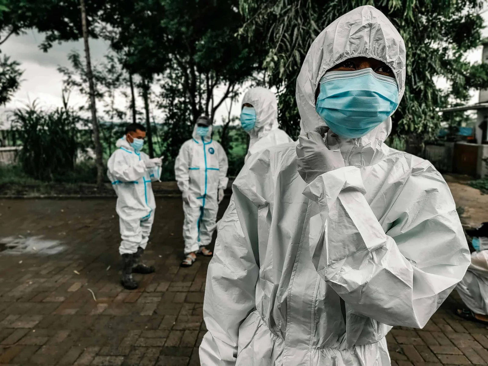 Wildlife Trade and Stress in Captivity Drive Ebola Spillover Risk