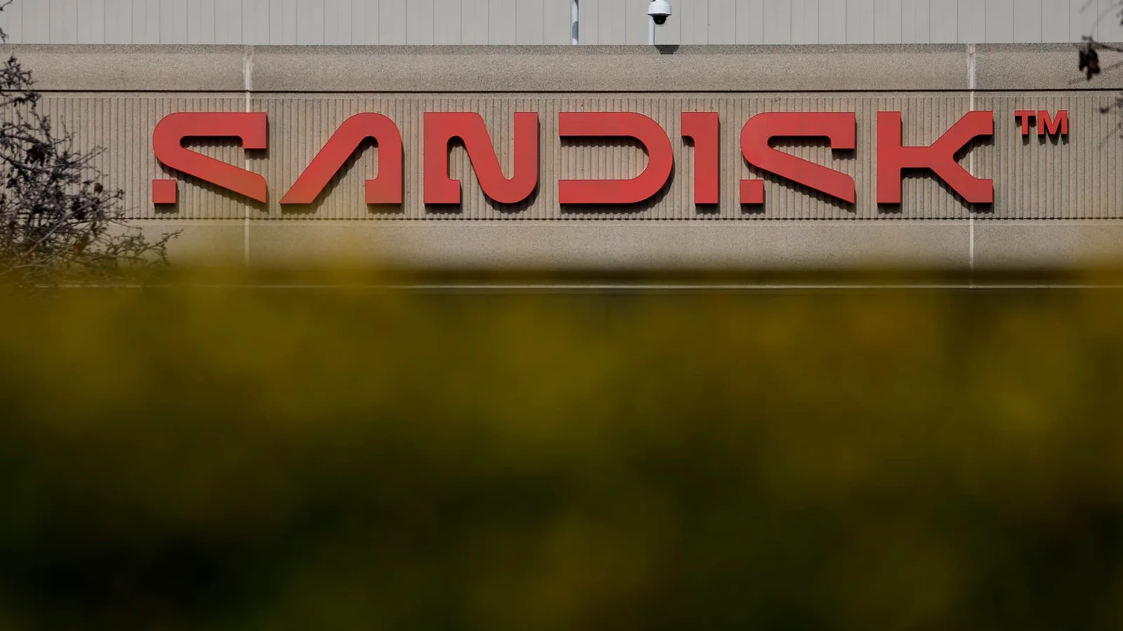 Premarket Spotlight: Alibaba, Intel, and Sandisk Lead Early Stock Moves