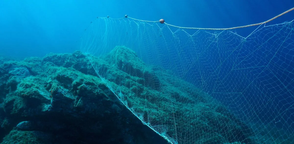 Bottle reflectors on nets could help dolphins dodge fishing gear