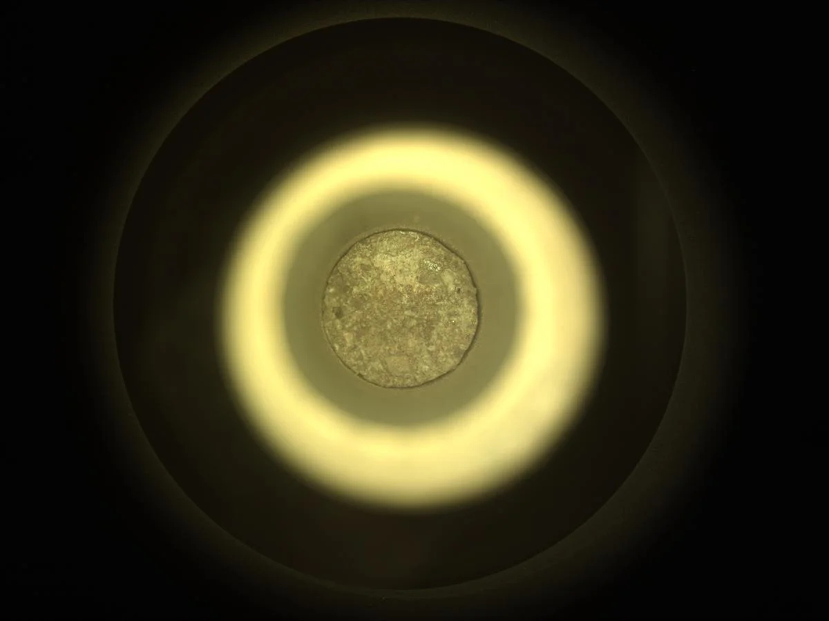 NASA's Perseverance Pays Off in Search for Record-Keeping Rocks