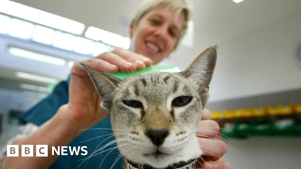 Lords urge curb on over-the-counter pet flea treatments to protect wildlife