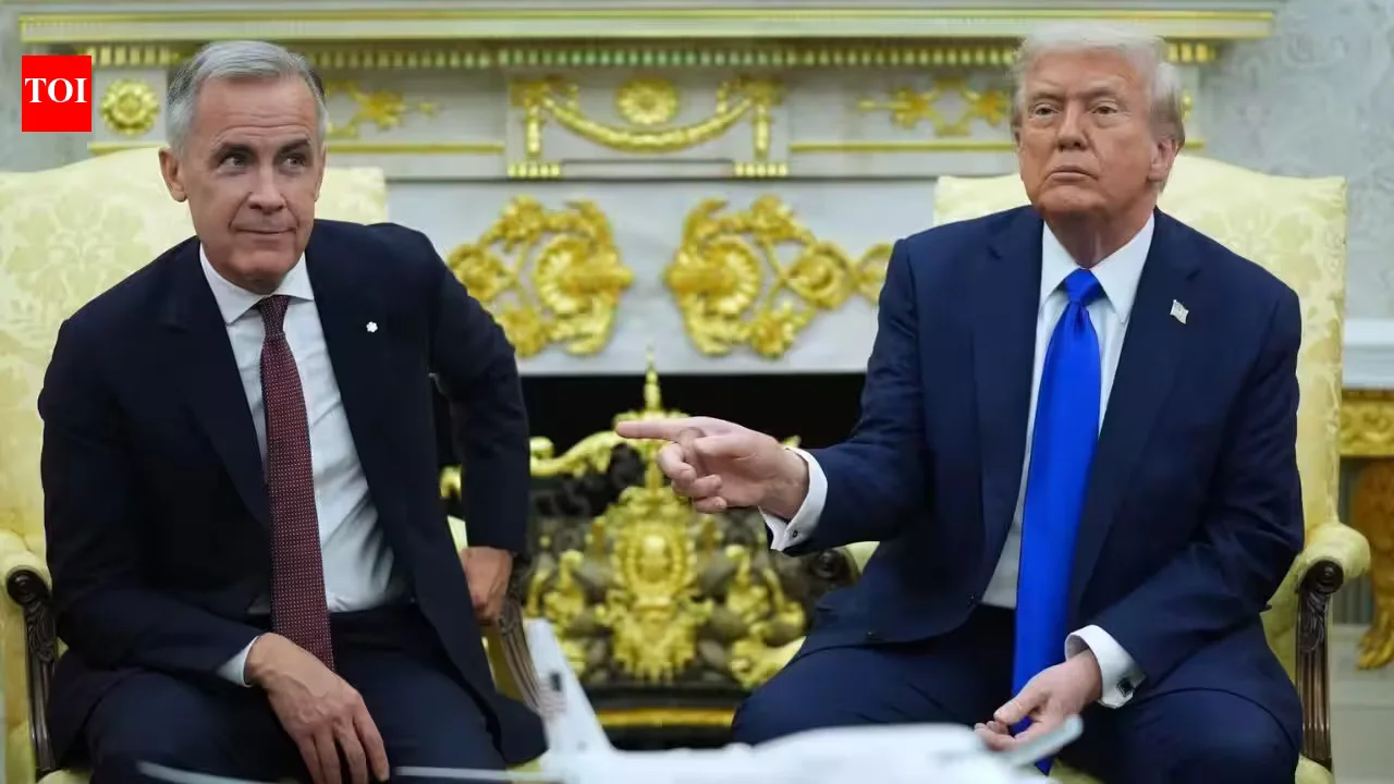 Maple under pressure: Trump tariffs strain long-standing US‑Canada ties